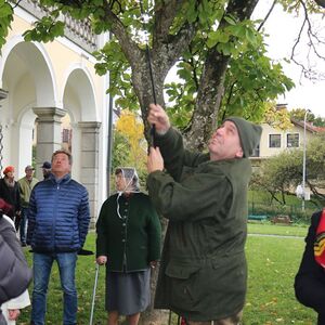 Turmkreuzsteckung 2017