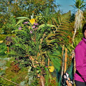 14. bis 15 Okt. 2017