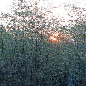 Emmausgang Ostermontag