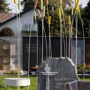 Friedhof Schwanenstadt