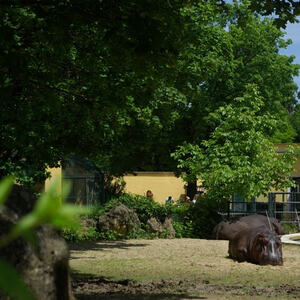 Minis-Ausflug nach Wien