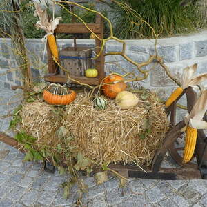 Erntedankfest der Pfarre Stroheim