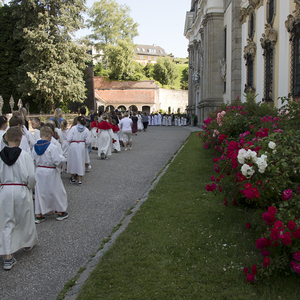 Minis in St. Florian