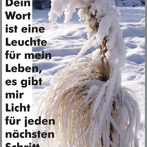 Textbilder für den Jahreskreis der Kirche