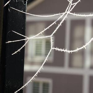 Advent in Ansfelden 2016