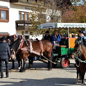 Leonhardiritt 04.11.2012