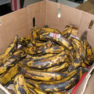 Fotos vom Übersiedeln am 3.12.2016