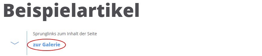 Screenshot Galerie - Sprunglink