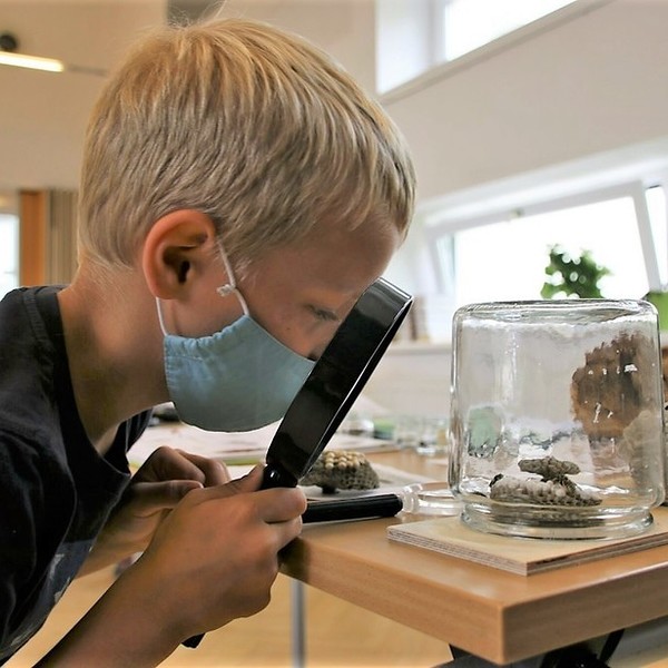 © Bibliothek St. Johann am Walde