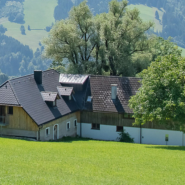 Jungscharalm Losenstein