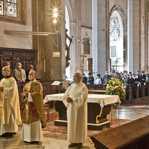 555 Jahre Stadtpfarrkirche St. Stephan