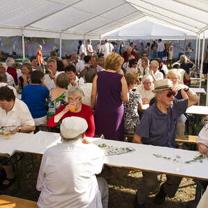 Begegnungsfest 2015