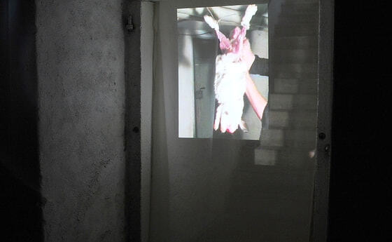 Ursulinenkirche Krypta. © Kunstreferat