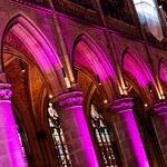 Der Mariendom wurde durch eine Lichtinstallation in ein mystisches Licht getaucht.