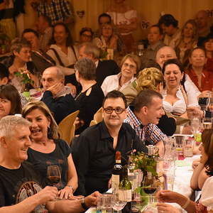 Bilder vom Pfarrball