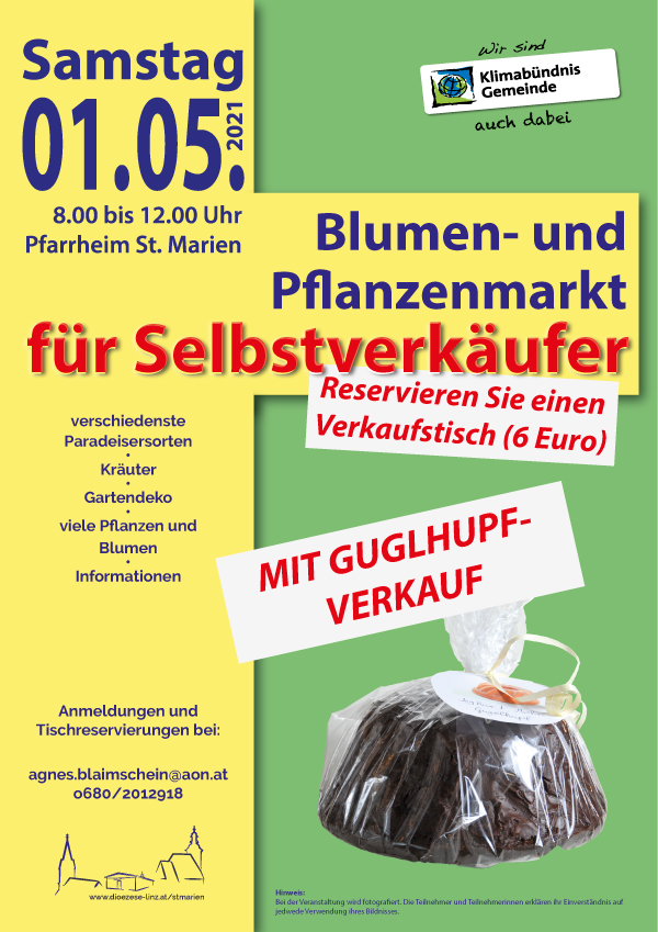 Blumen- und Pflanzenmarkt