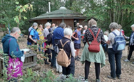 Dörnbach 2020 / Berta Stadler