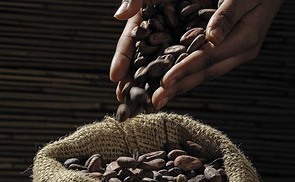 Kakaofeld 