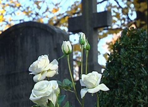 Friedhofverwaltung Taufkirchen an der Pram