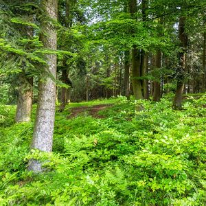 Spielerisch bewegt in das  letzte Kindergartenjahr