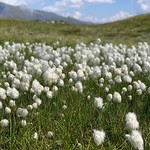 Wandern mit der Bibel 2020 - Matrei