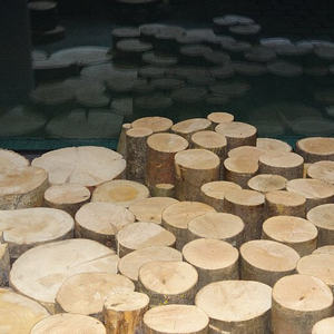 Auf und ab auf neuen Wegen