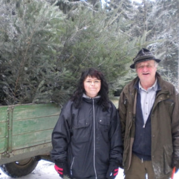 Margit Magauer und Franz Wögerbauer beim 'ernten' der Christbäume                      