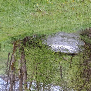 Fußwallfahrt nach Maria Trost, Pfarre Sarleinsbach