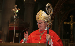 Bischof Ludwig Schwarz beim Goldenen Priesterjubiläum, 29.6.2014