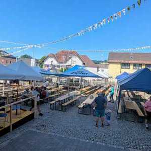 schön langsam geht es los