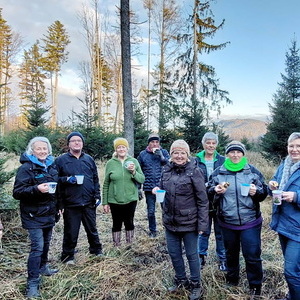 Adventkranz binden + Adventmarkt 24