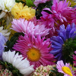 Pfarrfest 2015, Pfarre Neumarkt im Mühlkreis