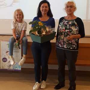 'Timo, ein Käfer mit sieben Punkten'