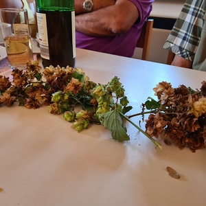 Begegnungsnachmittag Oktober