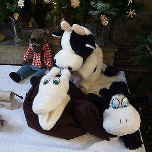 Reise der Schnecke Penelope