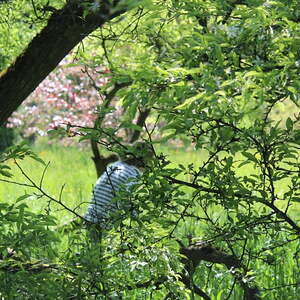 Die Schnitzeljagd der Jungschar auf dem Freinberg
