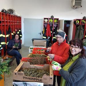 Palmbuschen binden 2023