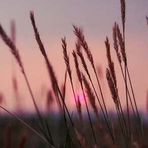 Sonnenuntergang