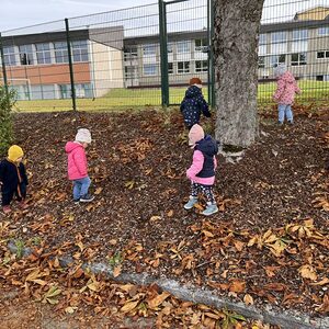 Spaß mit Kastanien!