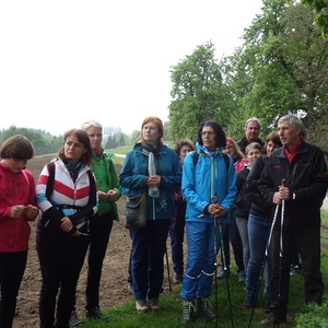 Pilgerwanderung 2019