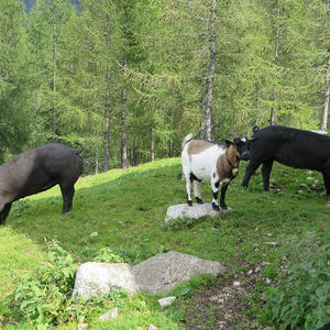 Bergmesse-Vorbereitung