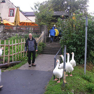 Anreise und Besichtigung der Residenz in Würzburg