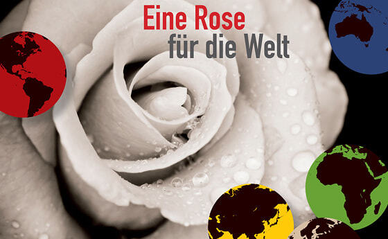 Rose für die Welt