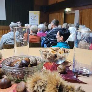 Reisebrericht Chalupka