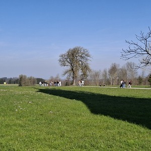 Schülerwallfahrt 2025 MS Pettenbach