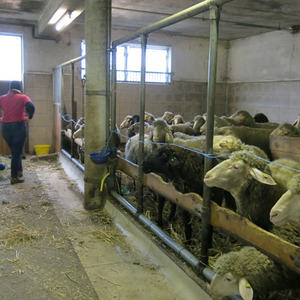 Pilgern Schlierbach-Klaus