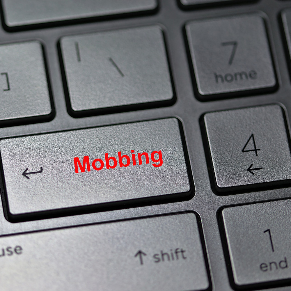 Mobbing