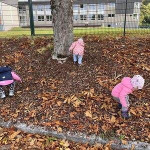 Spaß mit Kastanien!