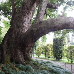 vom 29. April bis 5. Mai 2018