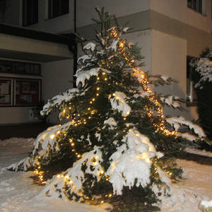 Seniorenclub - Weihnachten